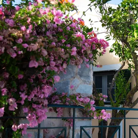 Rena's Panorama View House Casa rural Vóvikes