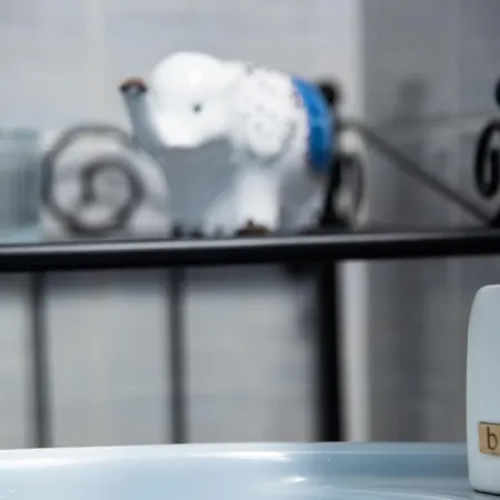 Rena's Panorama View House