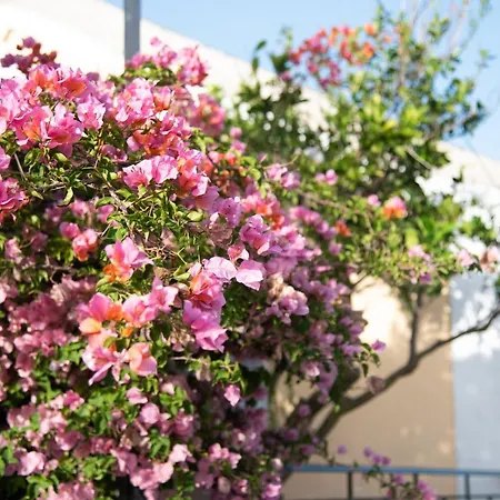 Rena's Panorama View House Séjour à la campagne *