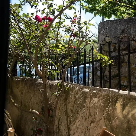 בית כפרי Rena's Panorama View House